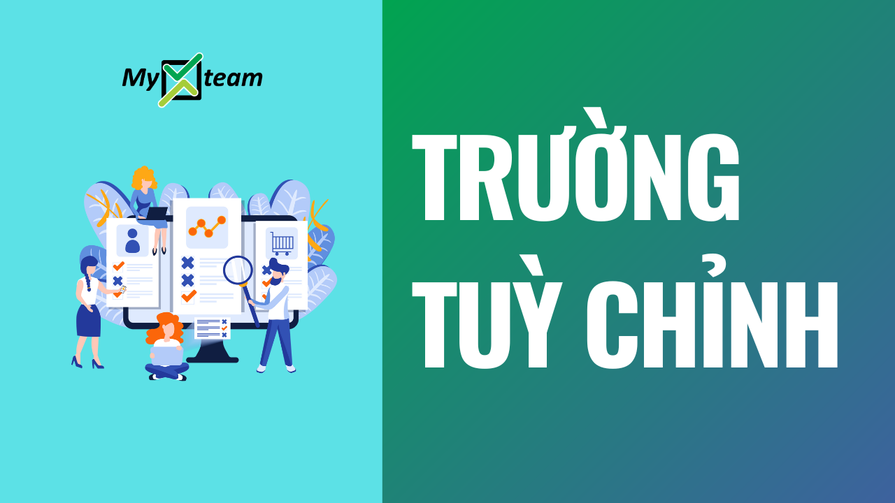 Trường tuỳ chỉnh